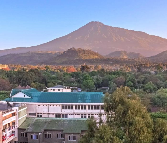 arusha city1