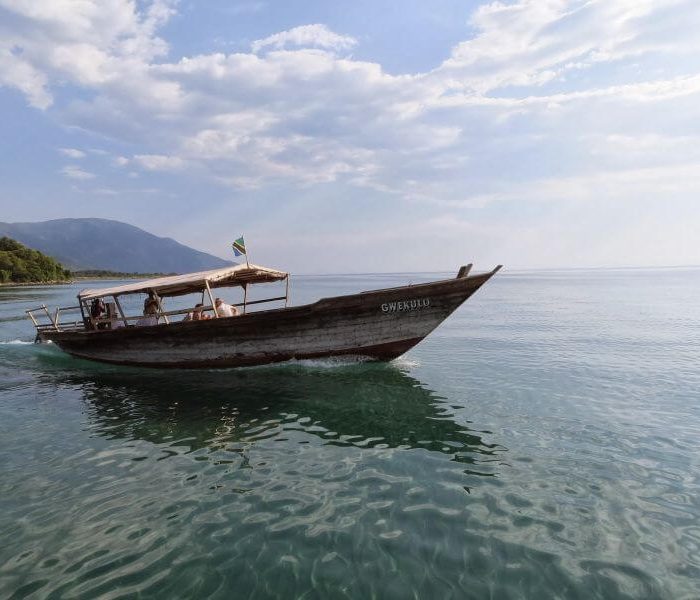 mahale22
